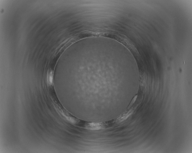 X0000084540095200703091705