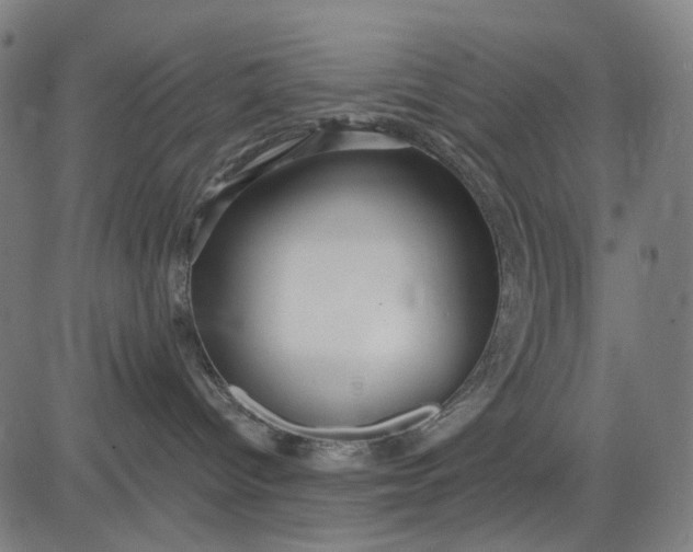 X0000084540096200703091705