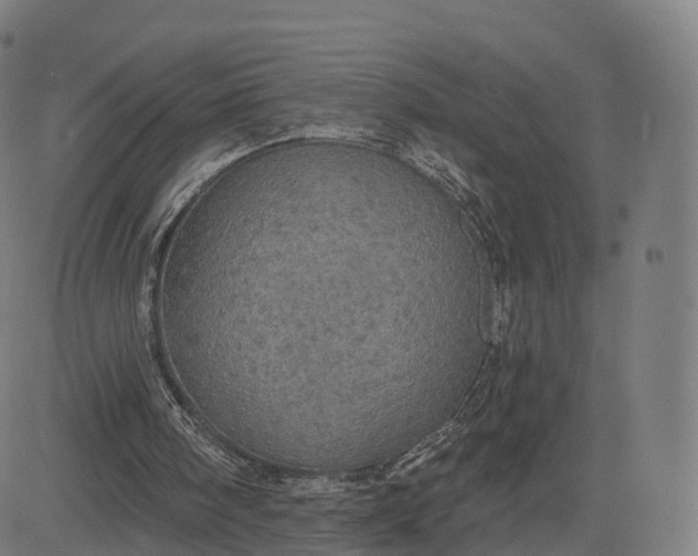 X0000084540098200703091704