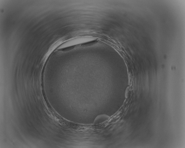 X0000084540099200703091704