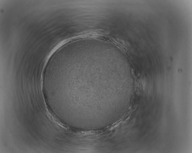 X0000084540100200703091704