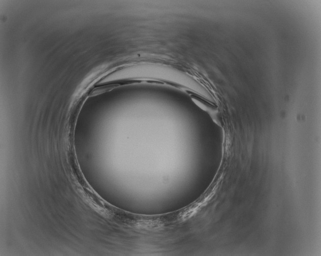 X0000084540101200703091704