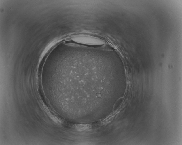 X0000084540102200703091704