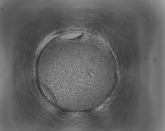 X0000084540103200703091704