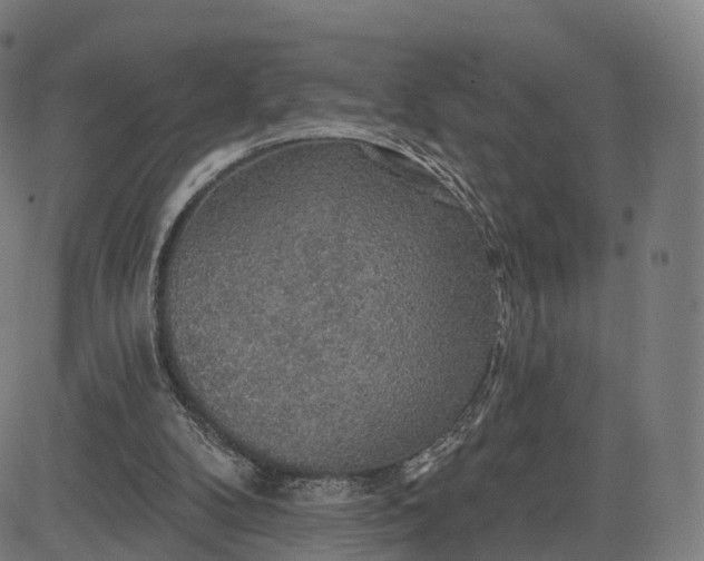 X0000084540104200703091704