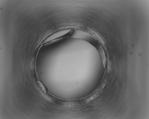 X0000084540105200703091704