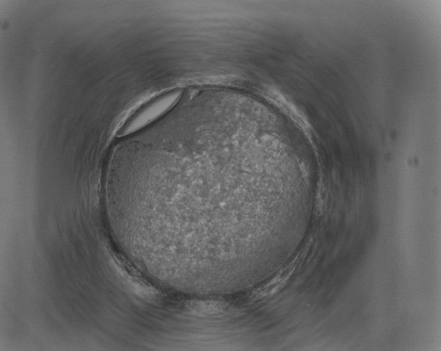 X0000084540107200703091704