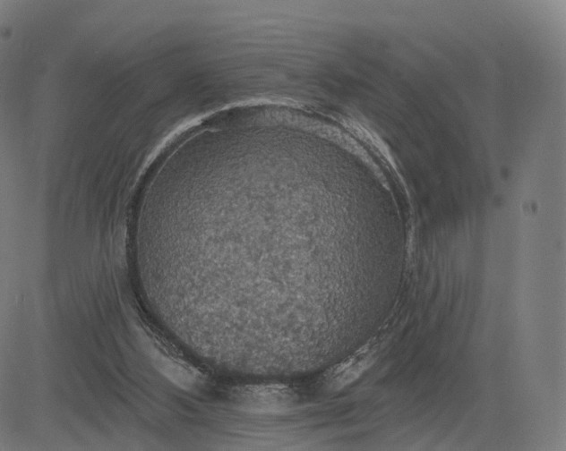 X0000084540108200703091704