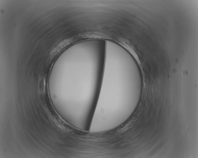 X0000084540109200703091704