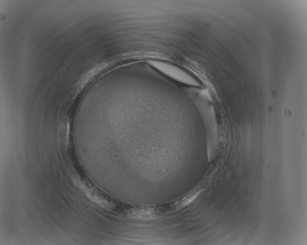 X0000084540110200703091704