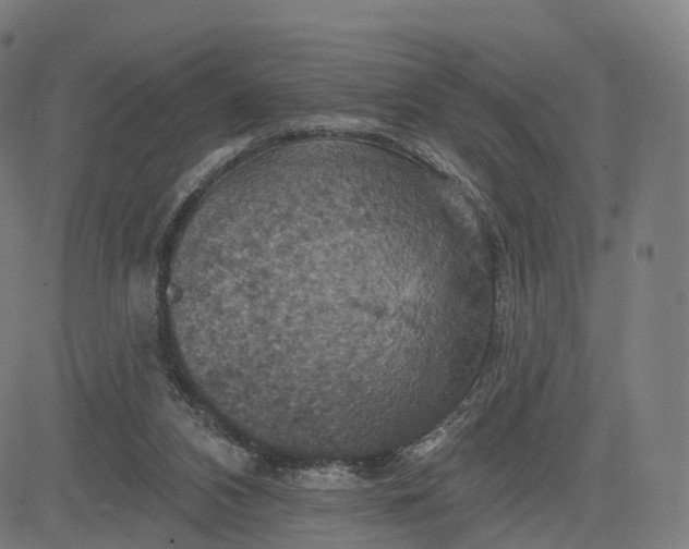 X0000084540112200703091704