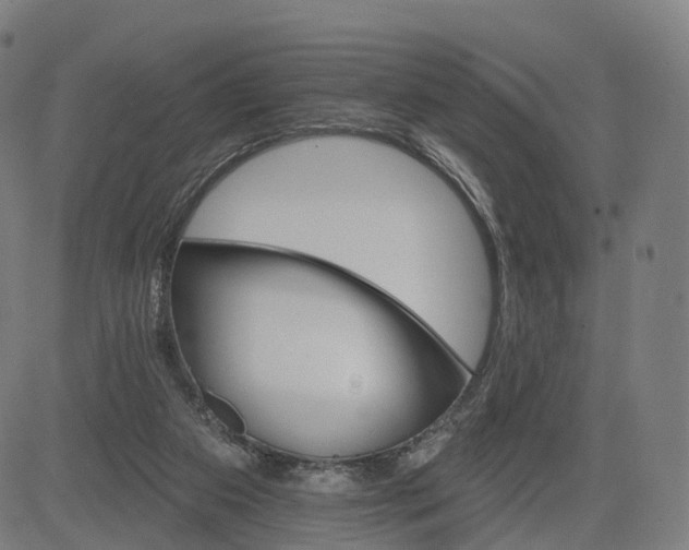 X0000084540113200703091704