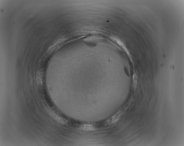 X0000084540114200703091704