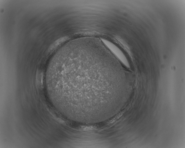 X0000084540115200703091704