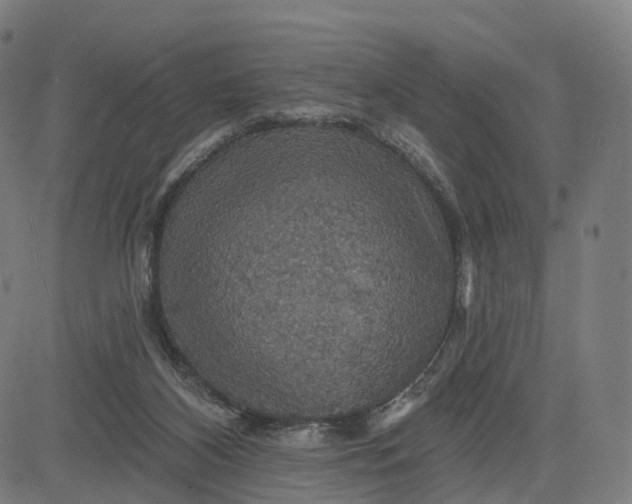 X0000084540116200703091704