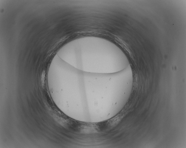 X0000084540118200703091704