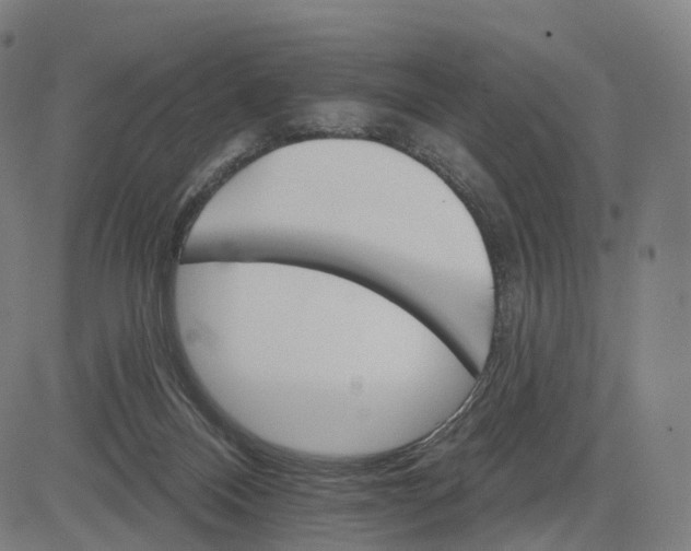 X0000084540120200703091704