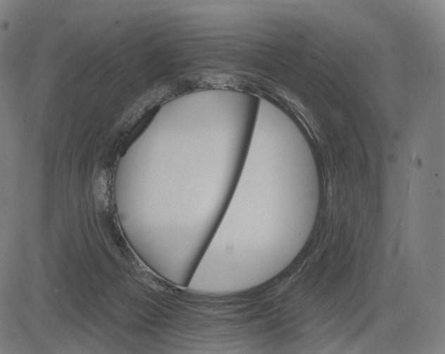 X0000084540121200703091704