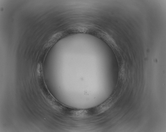 X0000084540122200703091704