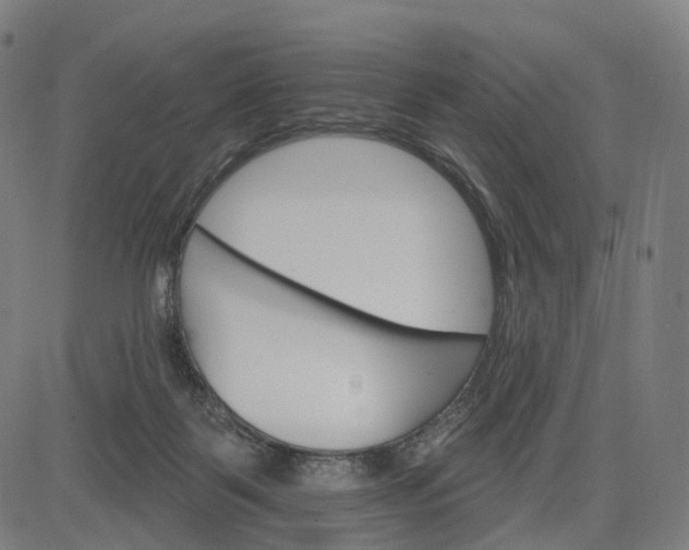 X0000084540123200703091703