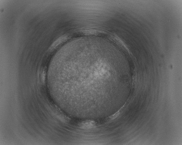 X0000084540124200703091703