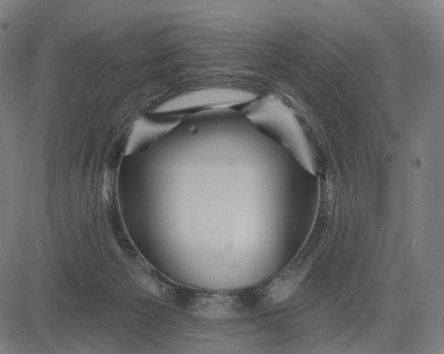 X0000084540125200703091703