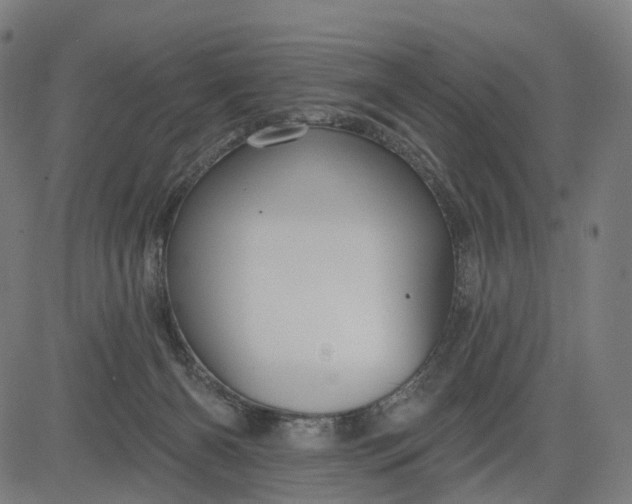 X0000084540126200703091703