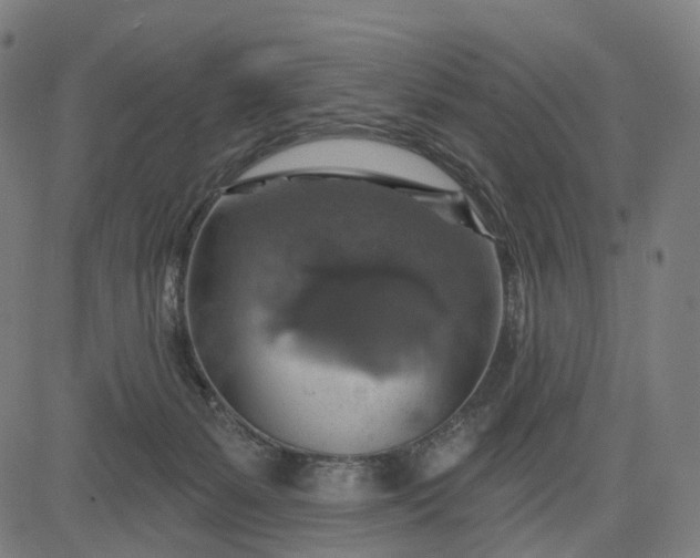 X0000084540127200703091703