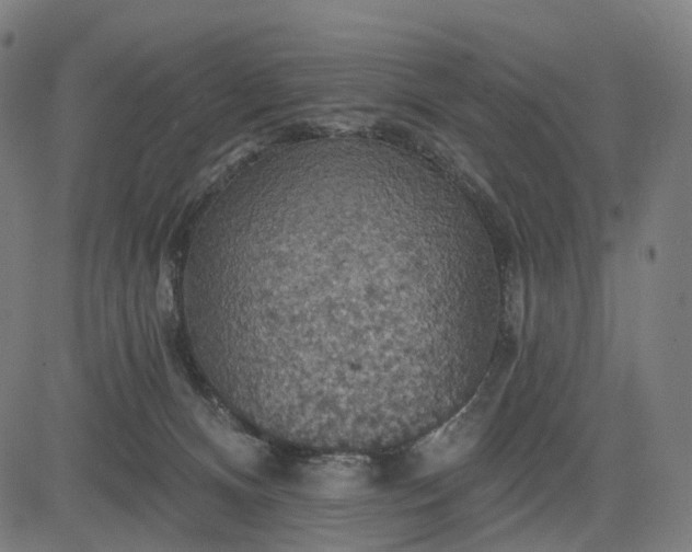 X0000084540128200703091703