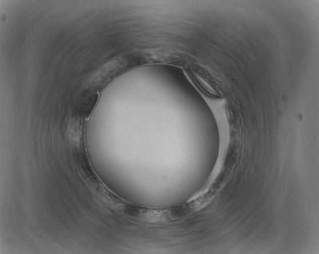 X0000084540129200703091703