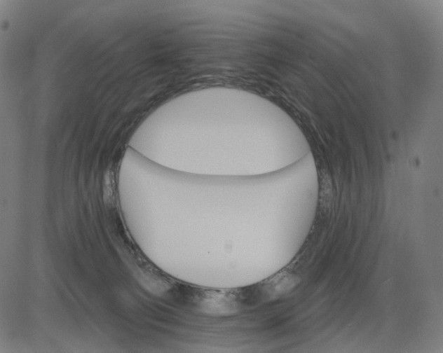 X0000084540130200703091703