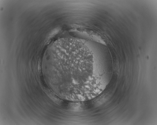 X0000084540131200703091703