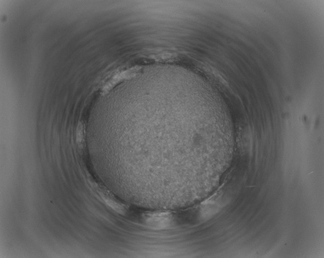 X0000084540132200703091703