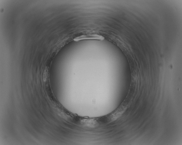 X0000084540133200703091703