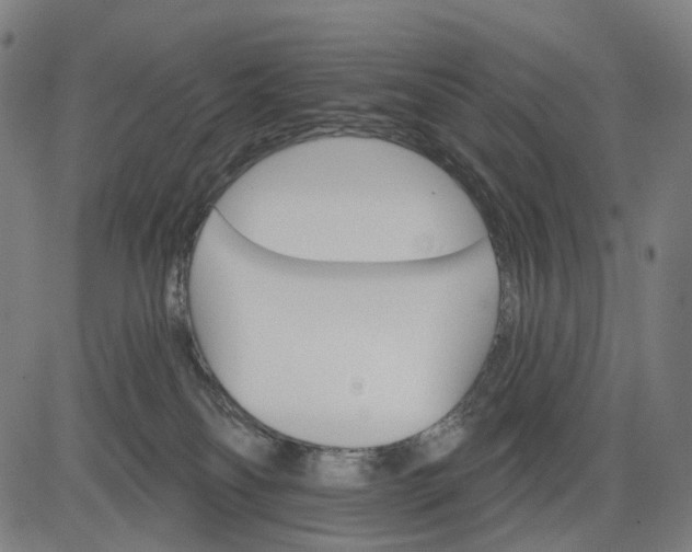 X0000084540134200703091703