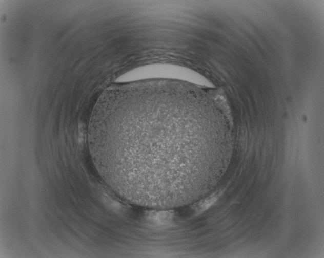 X0000084540135200703091703