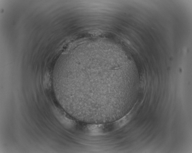 X0000084540136200703091703