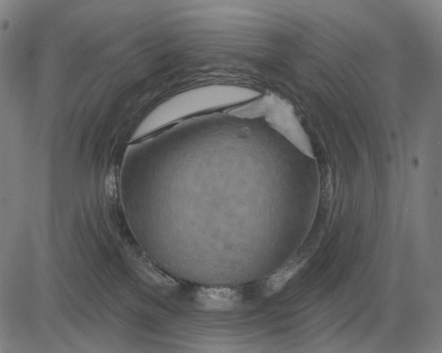 X0000084540137200703091703