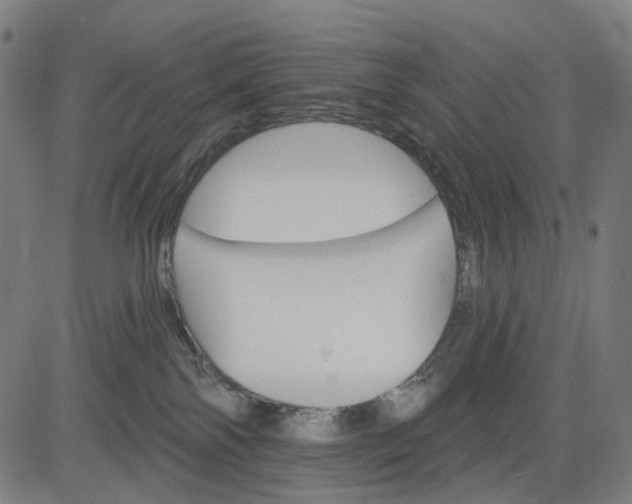 X0000084540138200703091703