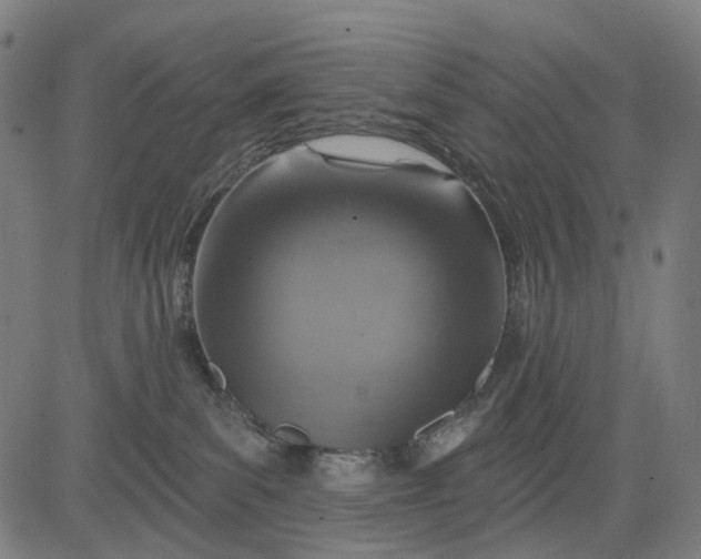 X0000084540139200703091703