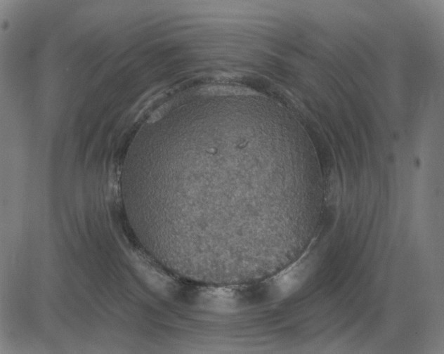 X0000084540140200703091703