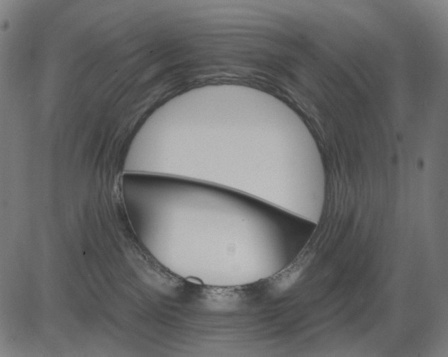 X0000084540141200703091703