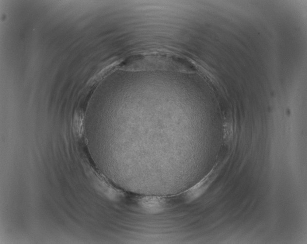 X0000084540142200703091703