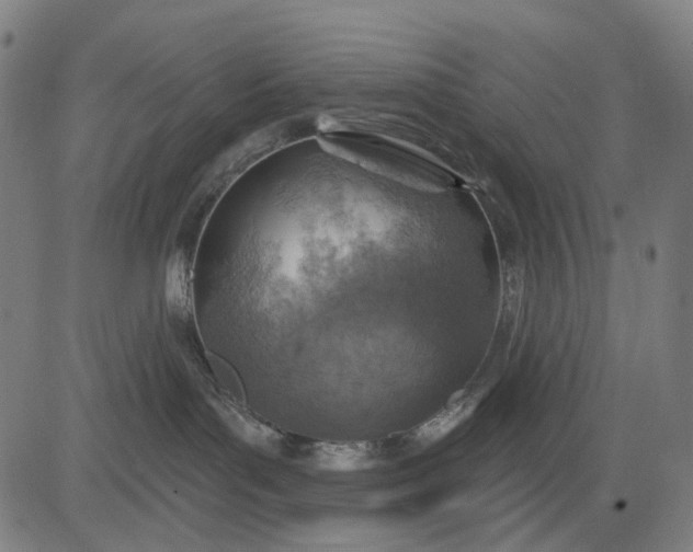 X0000084540143200703091703