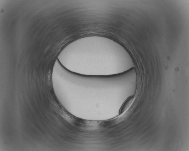 X0000084540144200703091703