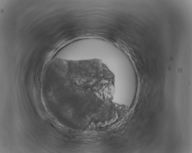 X0000084540145200703091702