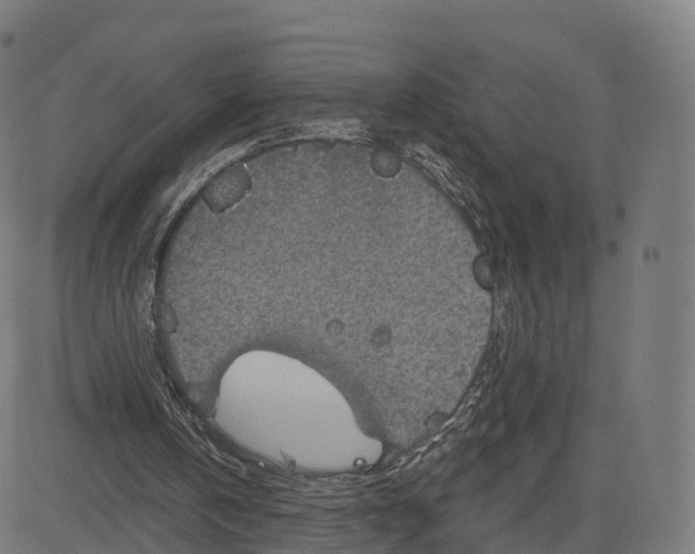 X0000084540146200703091702