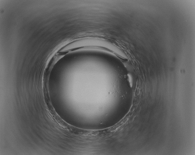 X0000084540148200703091702