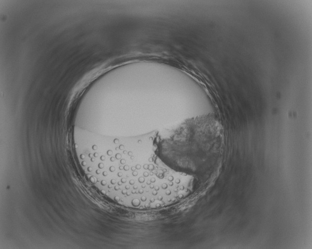 X0000084540149200703091702