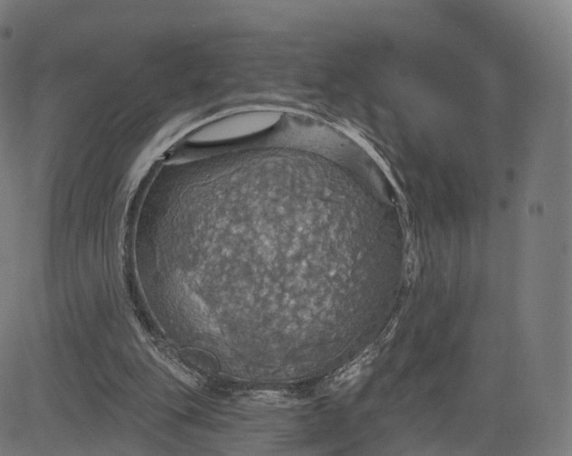 X0000084540151200703091702